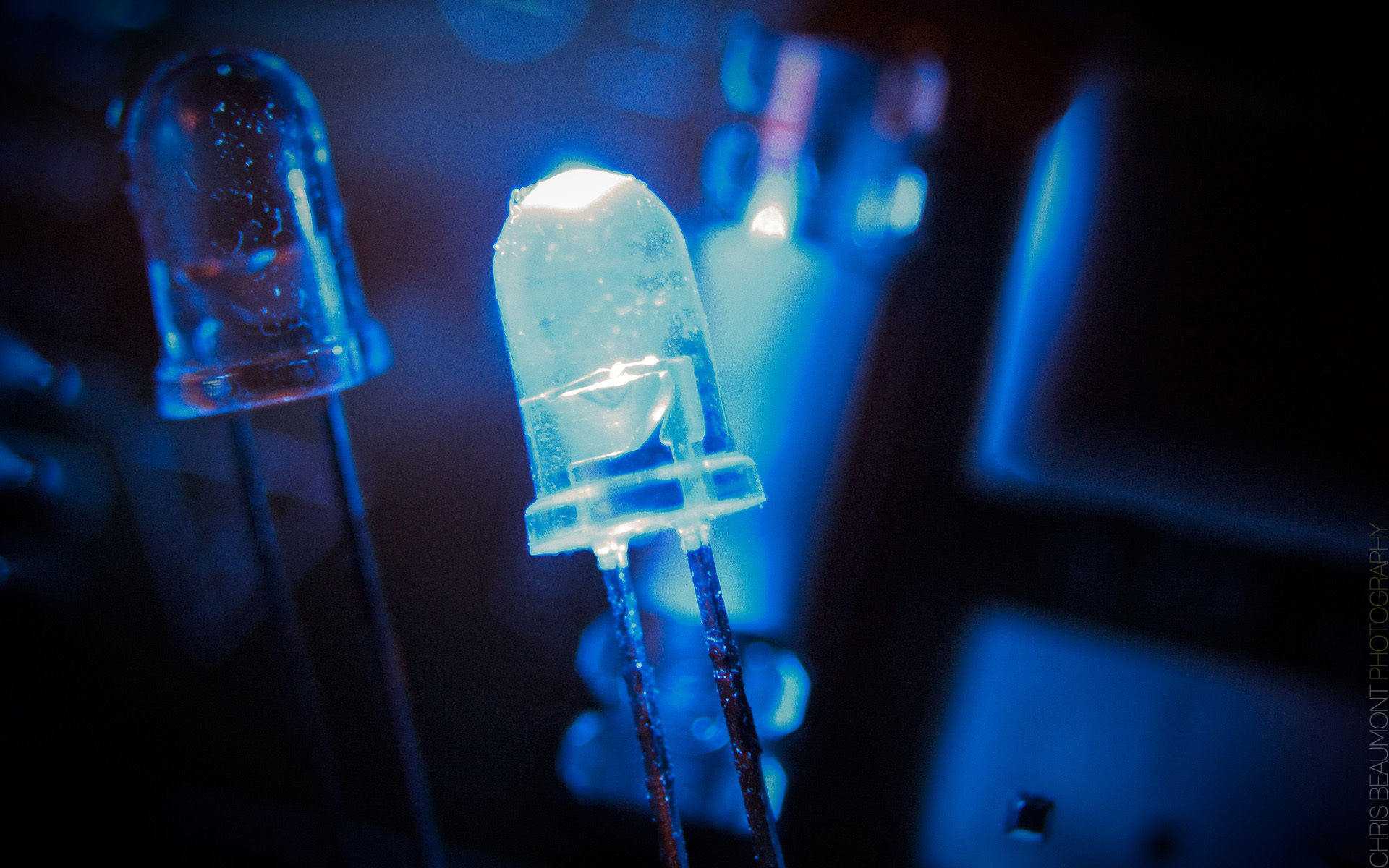 LEDS